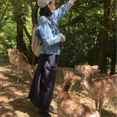 やさしく中学英語を教えます！(家庭教師)