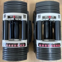 可変式ダンベル40kg2個セット　ホームジム　パワーブロック ア...