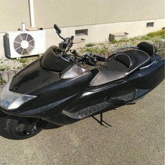 マグザム250 今週価格！