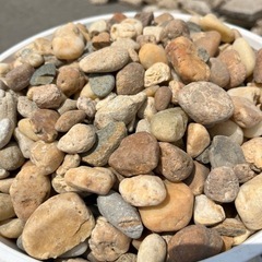 【玉砂利　ダークイエロー ２０kg入り】お引き取りです　＊御影石・タイル・大理石・砂利・石・石材・庭石・ロックガーデンなど＊の画像