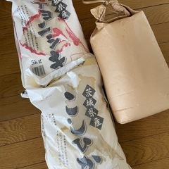 米　15kg 2023年精米