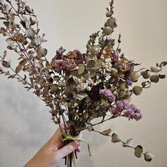 ドライフラワー おまとめの画像