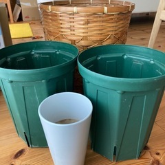 観葉植物セット