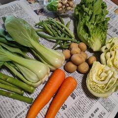 野菜セット