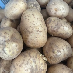 新玉ねぎ 新じゃがいも 各1kg