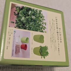 【定価1000円】四つ葉のクローバーを育てるキットの画像