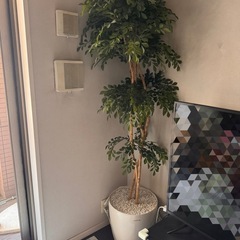 観葉植物　造花　180cm