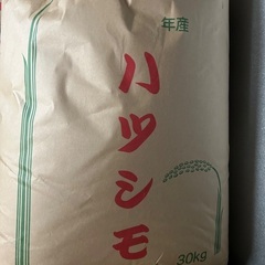 令和５年収穫岐阜ハツシモ玄米30キロ