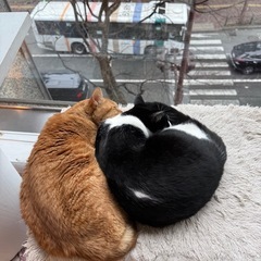 寂しいです、、