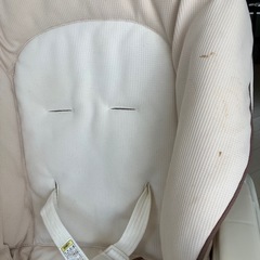 ベビー⭐︎バウンザーの画像