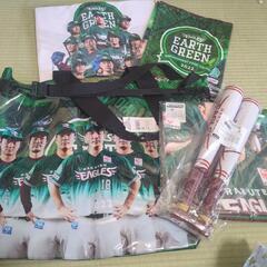 野球観戦グッズ