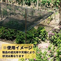 大特価❕遮光率60%❕遮光 ネット ダイオネット 810 カラミ織 黒 0261の画像