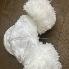 Disneylandふわふわ白キャップの画像