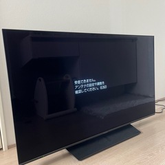 Panasonicビエラ有機EL48V型