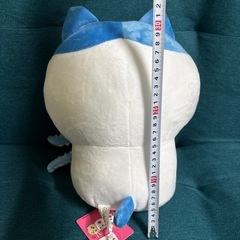 タグ付きハチワレ(約30cm)の画像