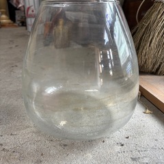 ガラス水槽  メダカなどにの画像