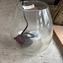 ガラス水槽  メダカなどに