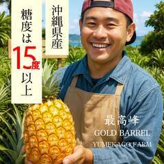 沖縄県東村産ゴールドバレル5kg【7月頃順次発送予定】送料無料