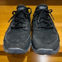 NIKE  ナイキ　フリーラン 2.0 黒 29.5cm Fre...