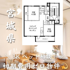 【鶴ケ谷／3K】✨初期費用0円✨2人入居OK👥ペット相談🐱