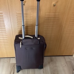 brics  機内持ち込みキャリーバッグの画像