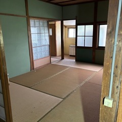 ⭐︎間もなく終了！畳12枚【6月末まで】