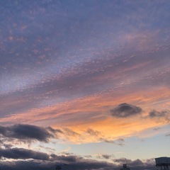 未婚が多いです