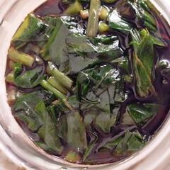 ギョウジャニンニク（アイヌネギ）の球根あげます。10個くらいまで。あと1名様で終わりです。の画像