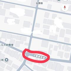 ゴミ出し置き場教えてください。