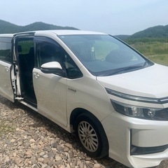 ヴォクシー80ハイブリッドの画像