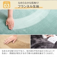 グリーンのラグ✩.*˚200×250cm