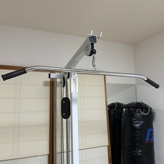 ワイルドフィット WILD FIT 200ラットプルマシン ウエイトプレート付