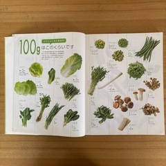 【書籍】『いつでも野菜を』の画像