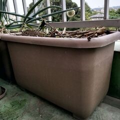 家庭菜園セット！深プランター9個+お土
