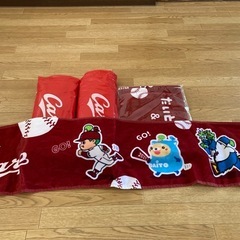 カープレインコート2セットの画像