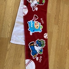 カープレインコート2セットの画像