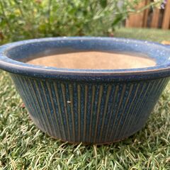 青い植木鉢　細い縦線入り　Ｈ＝7.5