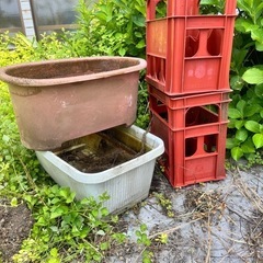 古いプランター大きめ