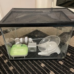 水槽　２個セット　ハムスター　小動物