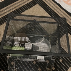 水槽　２個セット　ハムスター　小動物の画像