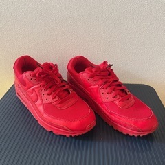 NIKE AIR MAXの画像