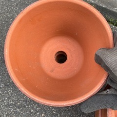 新品　観葉植物　野菜　植木鉢　駄鉢　6号　7号の画像