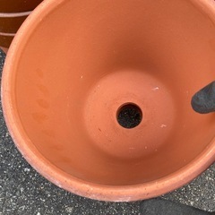 新品　観葉植物　野菜　植木鉢　駄鉢　6号　7号の画像