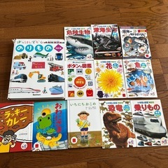 図鑑セット