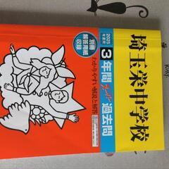 2025年公立私立開智・栄・桜丘中学校中受過去問の画像