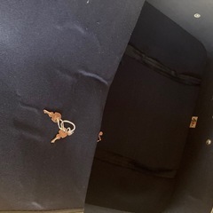 レトロ　キャリーケースの画像
