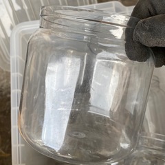 昆虫　カブトムシ　クワガタムシ　菌糸瓶　ベタ　熱帯魚の画像