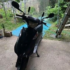 125gの画像