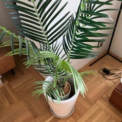 鉢付きフェイクフラワー　パームツリー