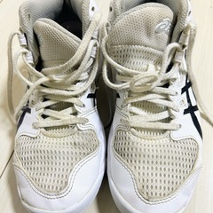 バッシュ　ダンクショット　21.0